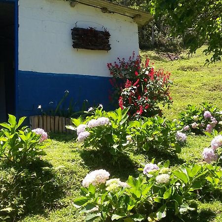 Kitnet Em Meio A Mata Atlantica Juquitiba Zewnętrze zdjęcie