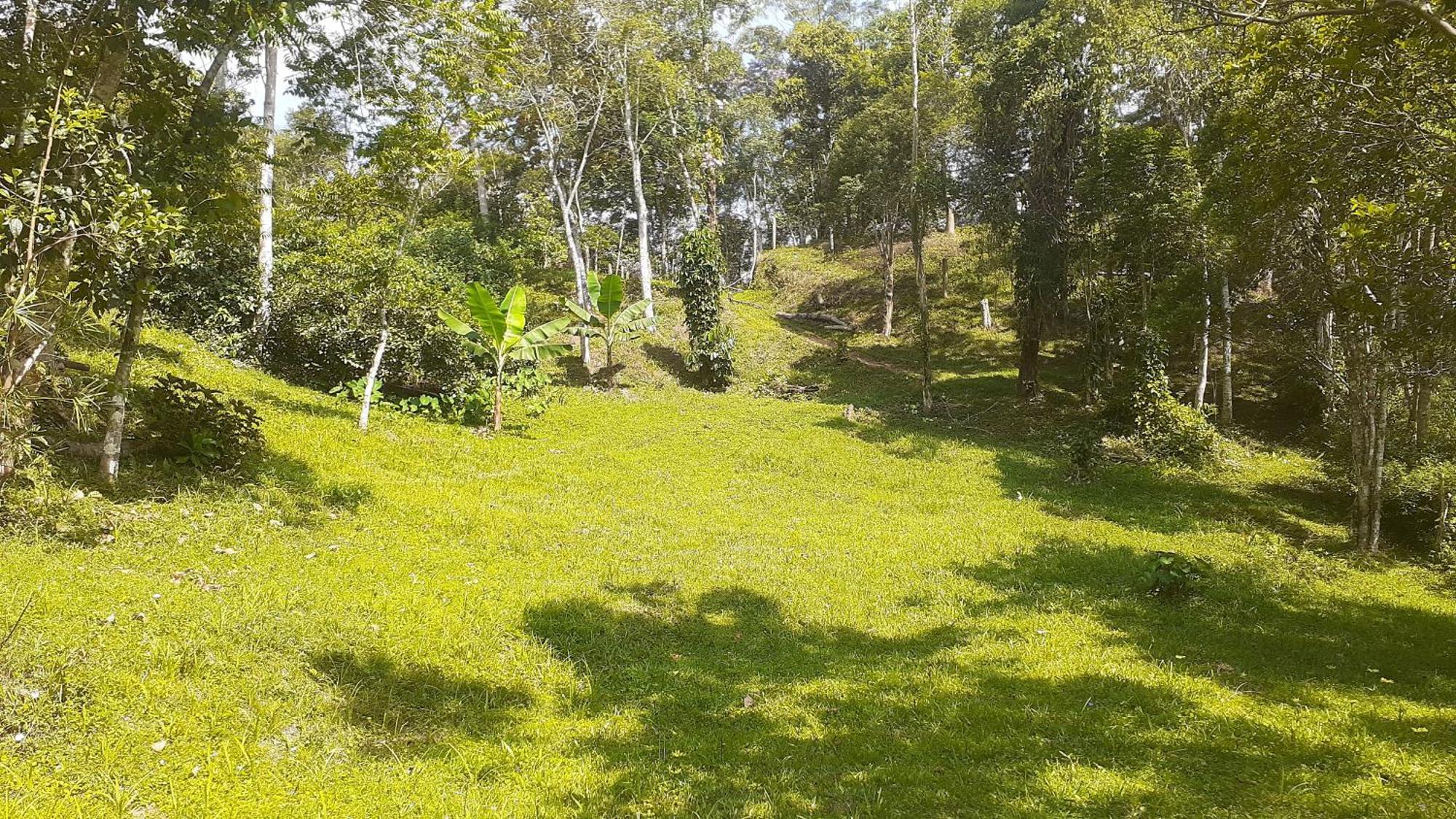 Kitnet Em Meio A Mata Atlantica Juquitiba Zewnętrze zdjęcie