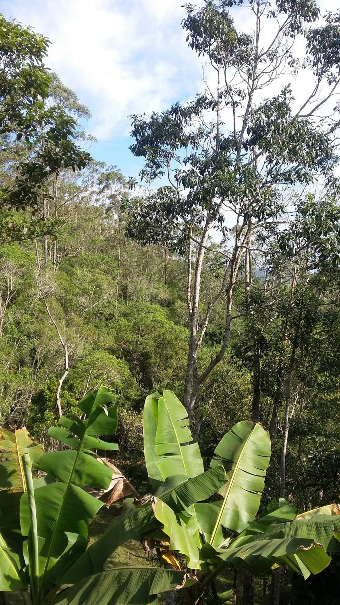 Kitnet Em Meio A Mata Atlantica Juquitiba Zewnętrze zdjęcie
